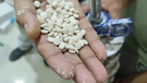 The Kerala Excise department seized 125 grams of MDMA hidden inside the stereo system of a car carrying