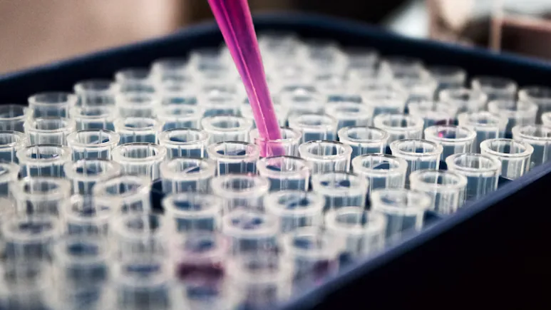 Panic At MIT After Student Creates One Of The World's Deadliest Chemicals: result and decisive