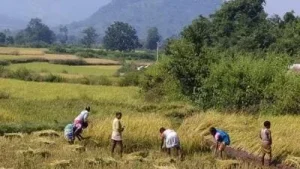 Odisha is poised to amend its long-standing land law, aiming to streamline the process for converting