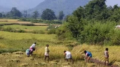 Odisha is poised to amend its long-standing land law, aiming to streamline the process for converting