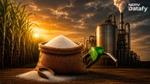 Why Sugar Is Suddenly Getting Costlier — Explained