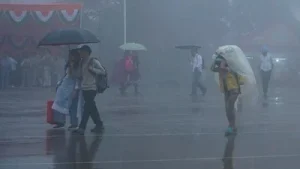 after a wet first week, the monsoon experienced a dry second week, resulting in a cumulative rainfall