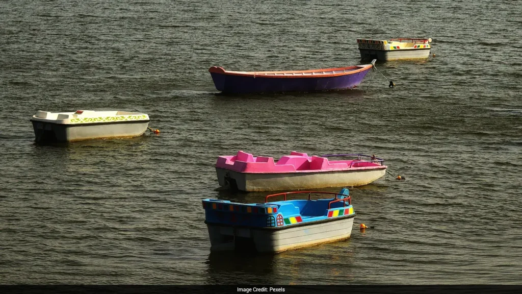 X user Kalyan Kumar Biswal recently shared why he decided to leave Mumbai and move to Bhopal