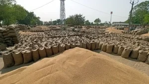 Because indian wheat is currently priced higher than global prices, but he said exports remain difficult