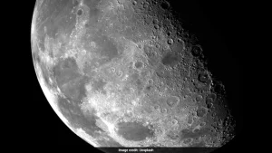 Scientists have found that some of Earth's microbes could have travelled to space with human