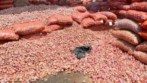 The government has announced a rise in the Minimum Assured Procurement Price (MAPP) for onions to ₹
