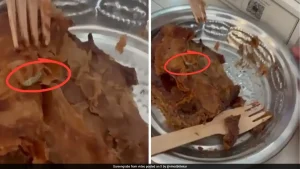 A man found a live worm in a sandwich at the PAUL restaurant at One Horizon Centre on Gurugram's Golf