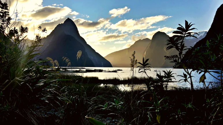 'Spent Rs 5.93 Lakh' — Indian Couple Provides Detailed Breakdown Of 13-Day New Zealand Trip