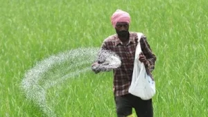India's fertiliser supplies for the upcoming Rabi season are expected to be stable, despite ongoing