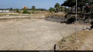 Forensic teams have unearthed 582 human skeletons, including those of infants and young children