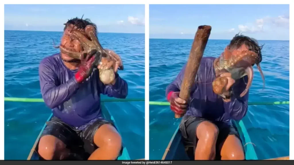 Wild footage has surfaced on social media capturing the terrifying moment an octopus latched onto