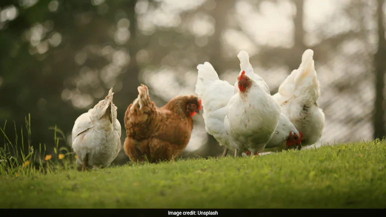 I have my product - the eggs - and I'm selling them