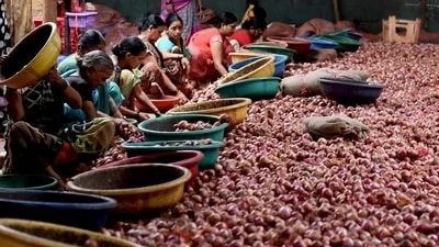 In 2025-26, this has expanded to 86 rakes carrying about 88,000 tonnes of onions to 16 major cities