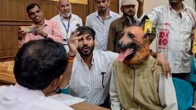 Regions like Punjab and Delhi-NCR have been mandated to remove stray dogs from high-footfall public