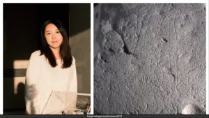 The woman, identified by Japanese media as Tsai Yi-zhen, is suspected of pouring glycerin onto