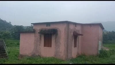 A pangolin, an endangered species, has been rescued from a government building in Naupada district