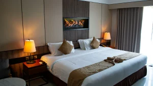 Custody Battle Behind Children's Murders In Bengaluru 5-Star Hotel: Police