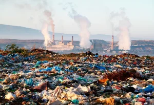 Top Court On Solid Waste Management — "Infrastructure Needs Complete Audit"