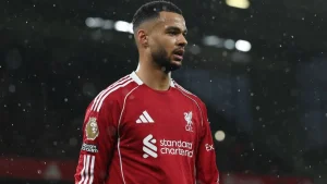 Virgil van Dijk is hoping Liverpool hang on to Cody Gakpo with Manchester City reportedly
