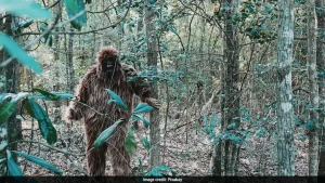 Is Bigfoot Real? Drink Company Offers $1 Million For Definitive Proof