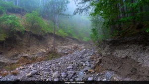 Chennai Tourist Dies In Kerala Landslide, Friend Injured