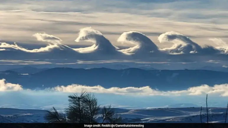 They are called Kelvin-Helmholtz clouds