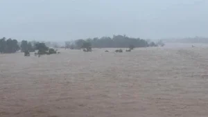 Heavy rain floods Chhattisgarh; one dead, Bastar villages cut off, schools shut in 8 districts