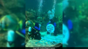 Love is in the air, perhaps underwater too, for a British couple that recently got engaged