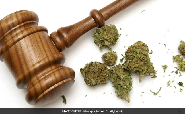 Supreme Court On Bail Cases Involving Marijuana — "We Are Very Liberal"