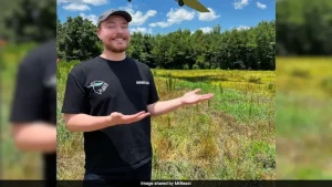 MrBeast, whose real name is Jimmy Donaldson, called the challenge "one of the hardest"