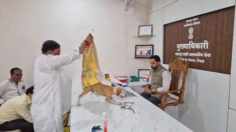 Aaditya Thackeray Calls Out Shiv Sena Activist's Puppy Protest — "Disturbed"