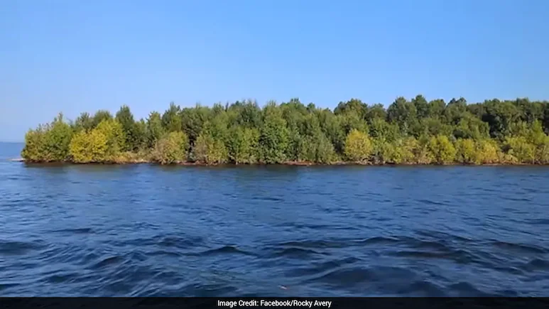 Mysterious Floating Island Appears And Vanishes In Canadian Reservoir