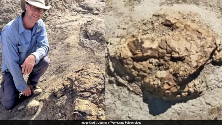 High School Teacher Discovers First-Ever Adult T. Rex Trackway While Fossil Hunting In US
