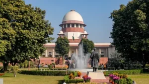 Panel probe not prerequisite criteria for rights cases: Supreme Court