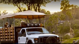 Deep beneath a sprawling wildlife park in San Diego, California, a team of dedicated women is