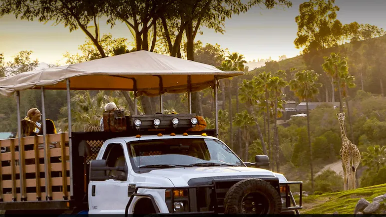 Deep beneath a sprawling wildlife park in San Diego, California, a team of dedicated women is