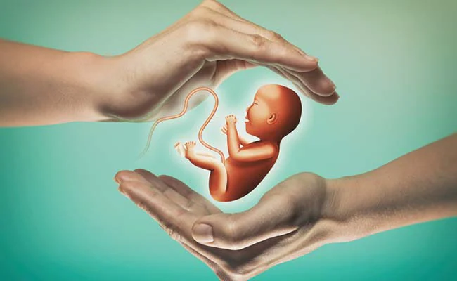By studying fetal development through organoids, scientists may be able to diagnose