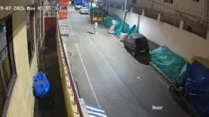 On Camera, Lord Ganesha Idol Stolen From Roadside Stall In Bengaluru