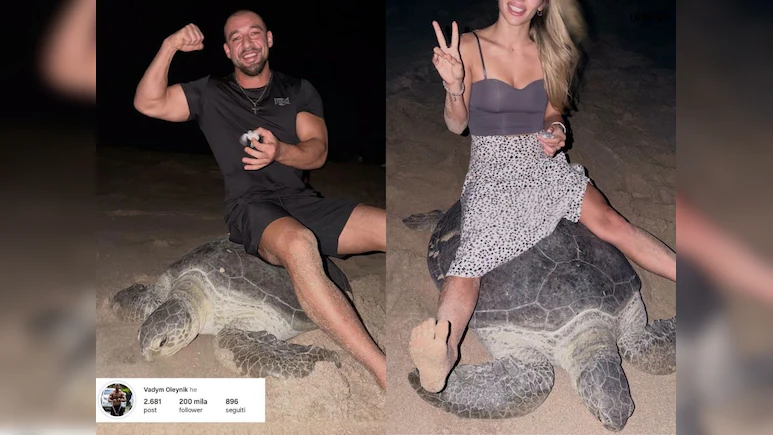 Fitness Influencer Films Himself Riding Nesting Sea Turtle, Internet Is Furious