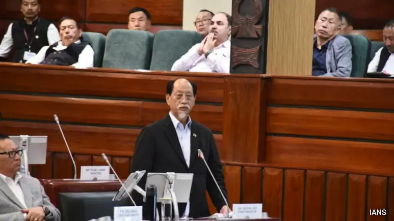 Nagaland Passes Resolution, Urges Centre To Withdraw Protected Area Permit Regime