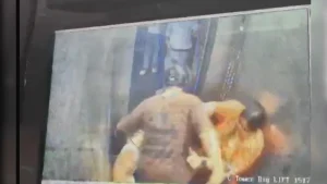 Dog In Lift Triggers Fight In Ghaziabad Society, Woman Hits, Slaps Teacher