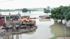 Ganga water recedes in Bihar; severe flood conditions persist in UP