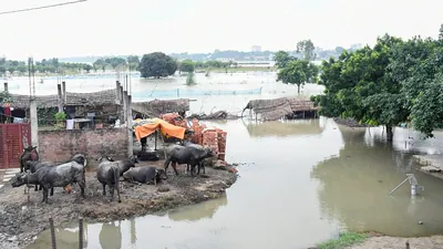 Ganga water recedes in Bihar; severe flood conditions persist in UP