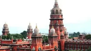 Tamil Nadu woman's 'nude photos', late-night calls cost her child custody