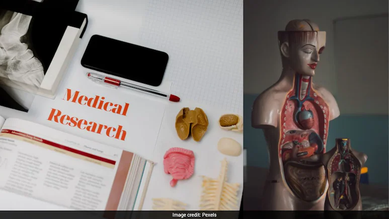 Your stomach acid is so strong it can dissolve a razor blade — Did You Know