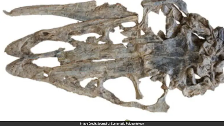 Researchers have identified a new dinosaur species named Kayrasaurus changliensis, which is