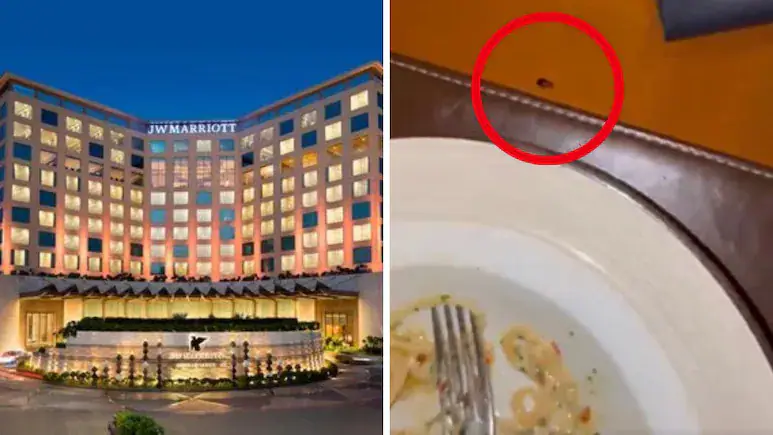 Cardiologist Flags Food Safety Risks After JW Marriott Cockroach Incident — 'It's A Public Health