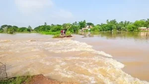 Schools and anganwadi centres in four districts of Odisha were declared shut amid IMD