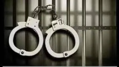 Goa Police have taken into custody the driver of a Mercedes who allegedly struck a two-wheeler