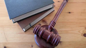 Plea In Court Over Karnataka's Power To Restrict Vande Mataram To 2 Stanzas